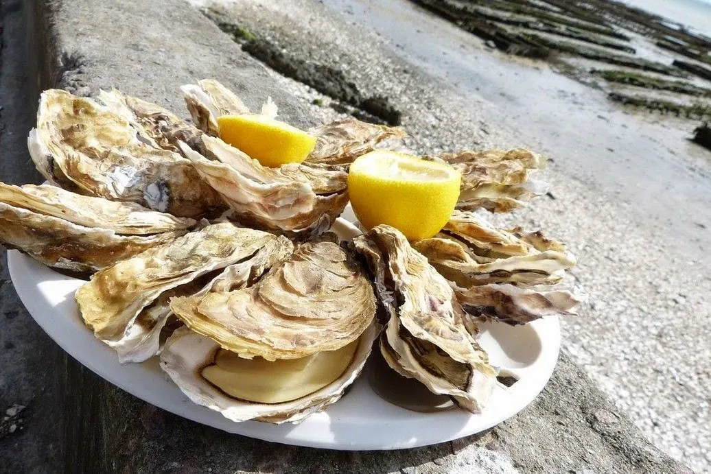 Gite du bois Peschard - Bretagne - Morbihan - Dégustation d'huitres
