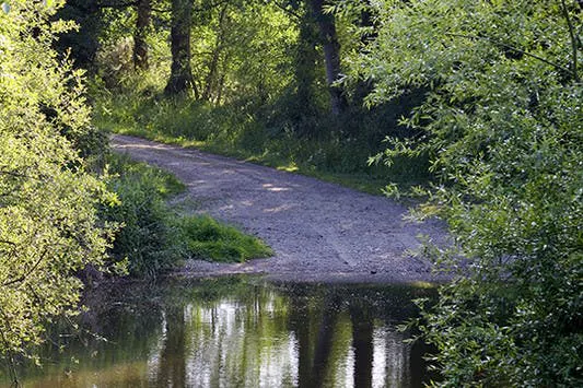 etang