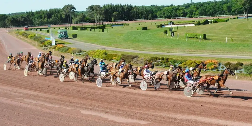 Hippodrome Maure de Bretagne - Gites du Bois Peschard