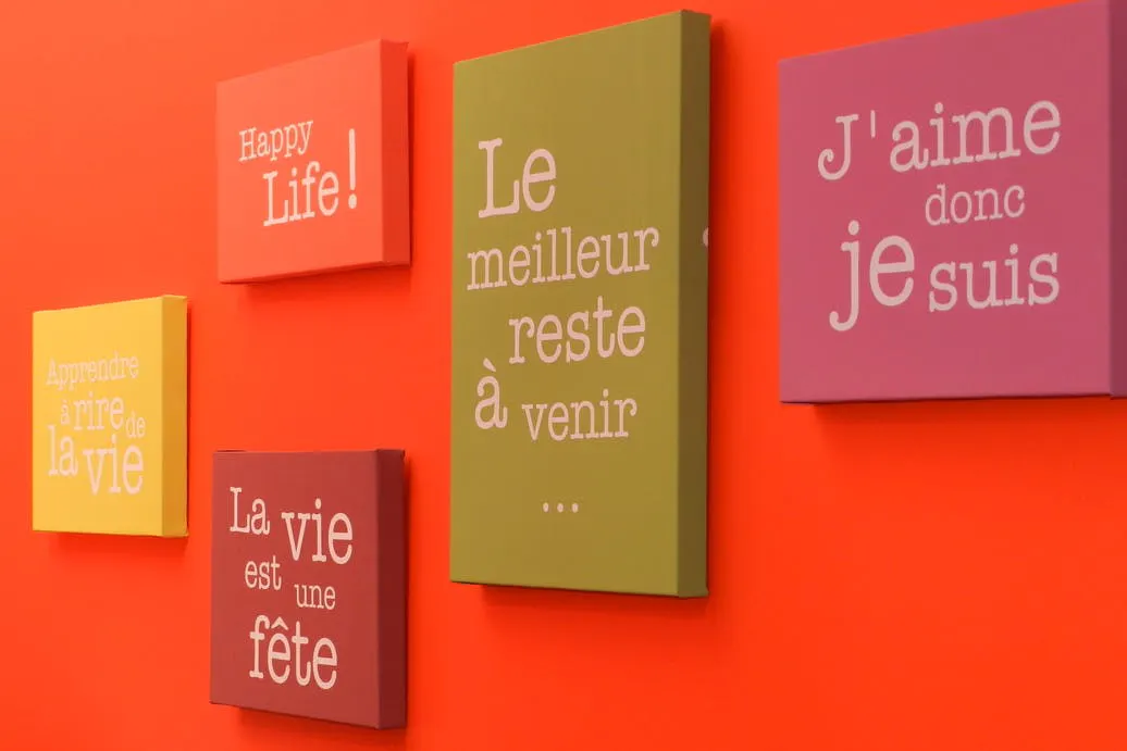 Gite du bois Peschard - Bretagne - Morbihan - Gite le Frêne