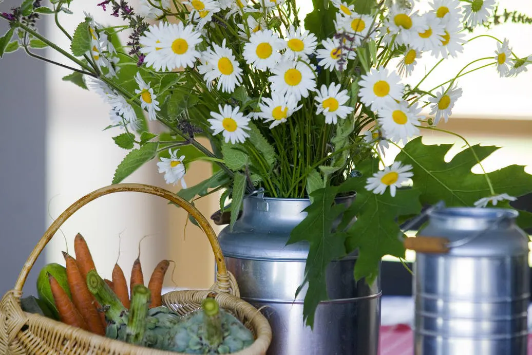 Gites du bois Peschard - Bretagne - Morbihan -